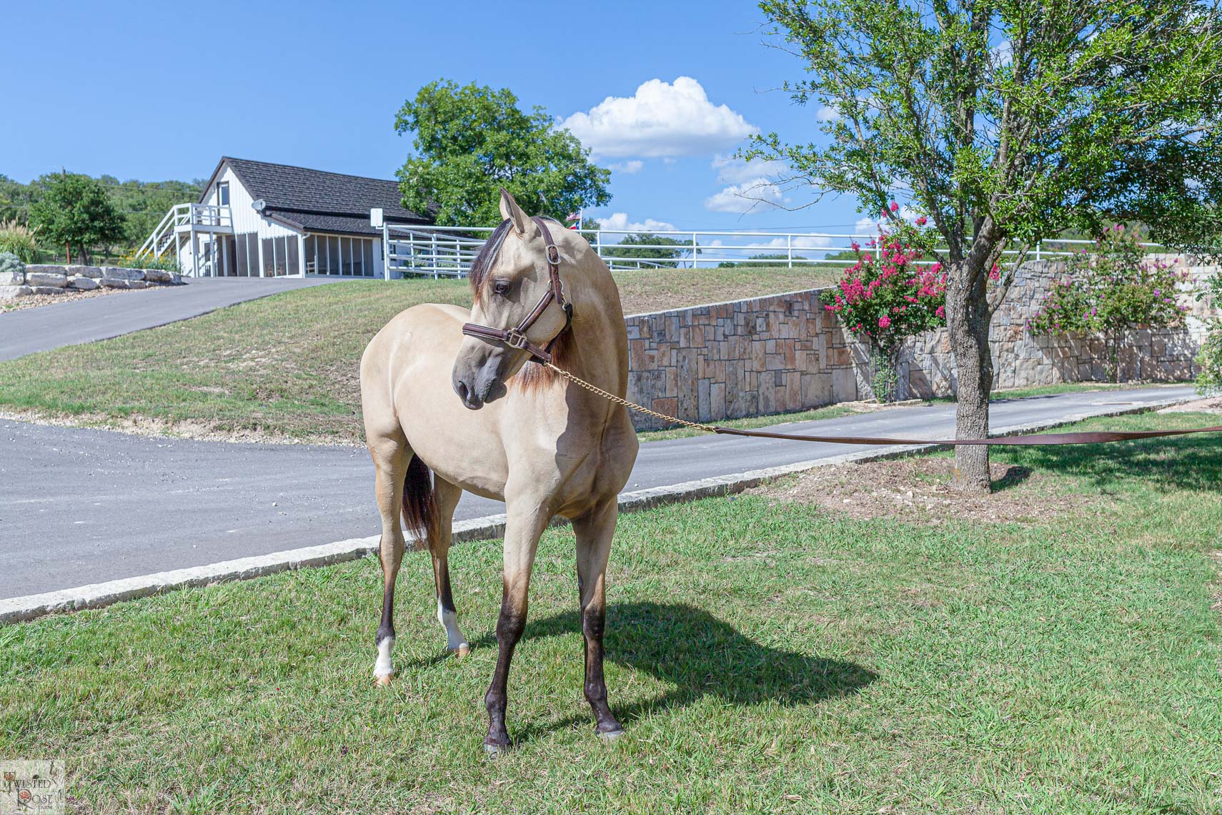115-Jennifer_Klanika_Photography_Twisted_Rose_Farm-tearsheet-20